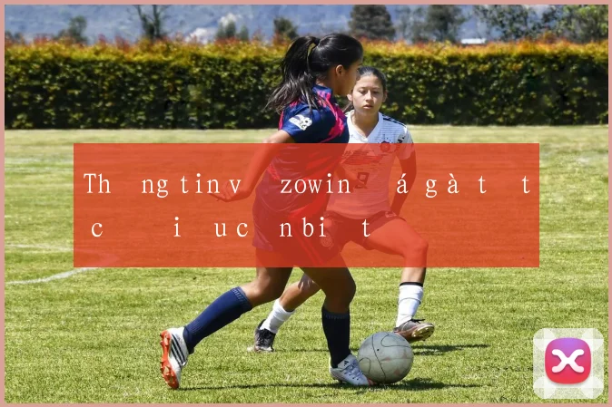Thông tin về zowin đá gà tất cả điều cần biết
